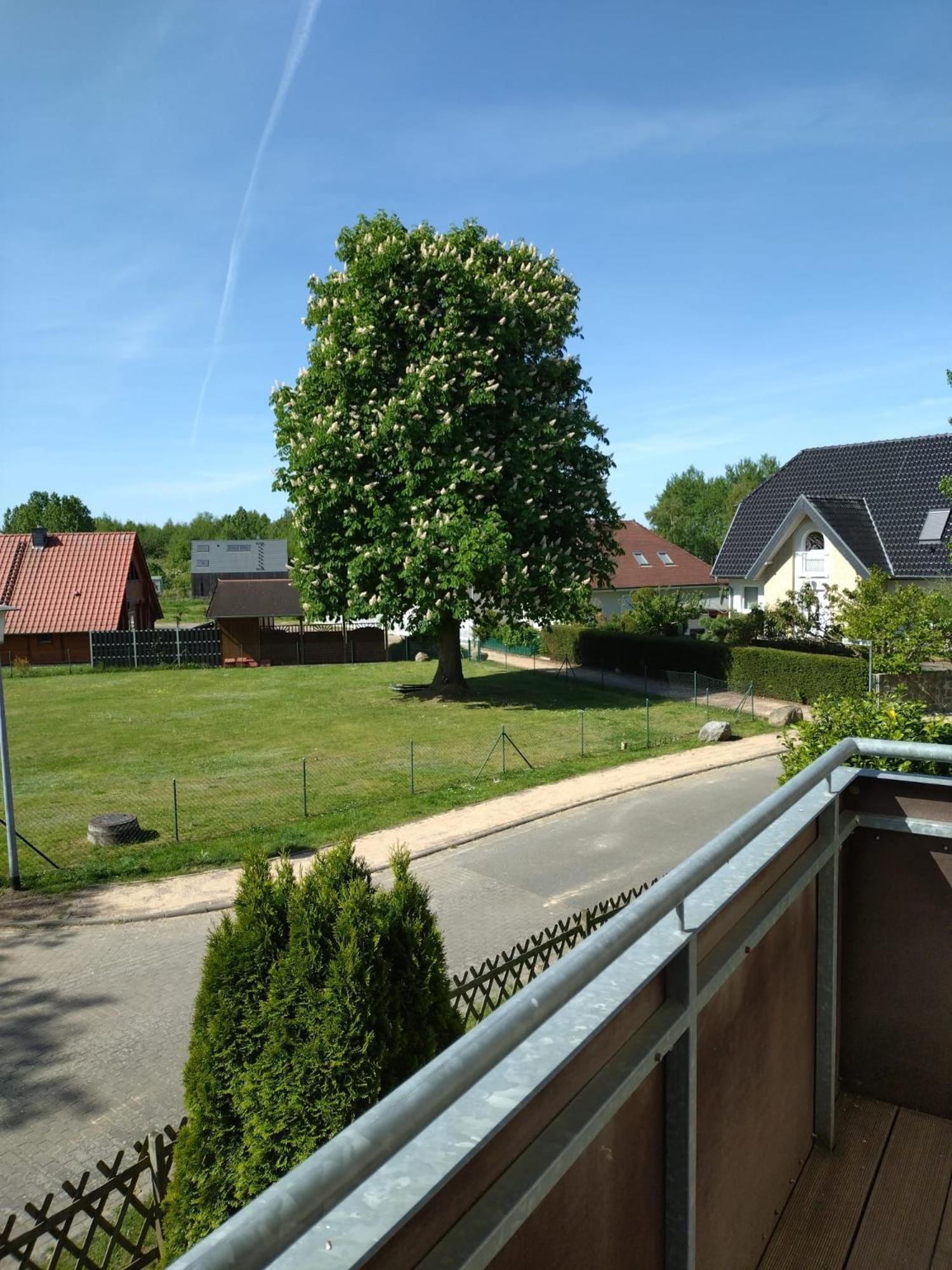 Ferienhaus Rechlin See Bagian luar foto